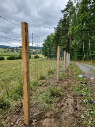 Wildzaun in Paderborn - fachgerechte Ausführung vor Ort